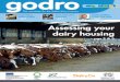 ISSUE 16. MARCH 2013 Assessing your dairy housing · So if calf rearing losses or health ... manual shedding is easily ... a best practice guide’. The guide provides up