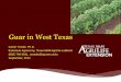 Guar in West Texas - Texas A&M Universitylubbock.tamu.edu/files/2012/10/Noble-Guar-13Sept2012-Trostle.pdf · Why Guar? Why Now? Guar gum is highly valuable and sought after as an