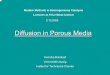 Diffusion in Porous Media - FHI · Diffusion in Porous Media ... International Conference on Diffusion in Solids and Liquids 6-8 of July, ... Fundamentals, Basic Principles of Theory,