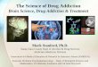 Brain Science, Drug Addiction & Treatmentcaliforniamethadone.org/wp-content/uploads/2012/03/Sci-of...The Science of Drug Addiction Brain Science, Drug Addiction & Treatment ... Hallucinogens