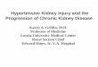 Hypertensive Kidney Injury and the Progression of … Kidney Injury and the Progression of Chronic Kidney Disease Karen A. Griffin, M.D. Professor of Medicine Loyola University Medical