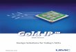 Gold IP - UMC Gold IP program continues to lead the foundry indus-try in the hardening of standard library elements, mixed signal and analog cores, and timing-critical cores through