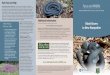 NEW HAMPSHIRE WILDLIFE ACTION PLAN just because a snake ... Funding for this brochure was provided by the New Hampshire Fish and Game Department. Written …