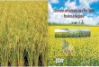 Conservation and Sustainable Use of Plant Genetic ...pgrfa.barcapps.gov.bd/reports/bangladesh3.pdfConservation and Sustainable Use of Plant Genetic Resources in Bangladesh ... Conservation