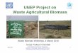 UNEP Project on Waste Agricultural Biomassgec.jp/gec/en/Activities/FY2009/ietc/wab/wab_day3-1.pdfUNEP Project on Waste Agricultural Biomass ... 4 March 2010 Surya Prakash Chandak