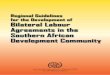 Regional Guidelines for the Development of Bilateral Labour Agreements …publications.iom.int/system/files/pdf/regional_guide... · The Regional Guidelines for the Development of