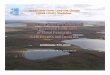 Yamal-Land-Cover Land-Use Change (NASA … Land-Use Change (NASA LCLUC) Workshop . ... T24 T25 T26 T27 T28 T29 T30 T31 T32 T33 Research location Vaskiny Dachi cm cm cm AL depth range: