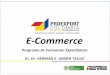 E-Commerce - International Logistics Software · Un blog, es un web site periódicamente actualizado que recopila cronológicamente textos o artículos de uno o varios ... SEO Son