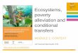 Ecosystems, poverty alleviation and conditional transfers ...pubs.iied.org/pdfs/G04291.pdf · 5 Ina Porras and Nigel Asquith, 2018 Payments for Ecosystem Services Source: Menton and