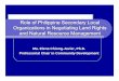 Role of Philippine Secondary Local Organizations in ... of Philippine Secondary Local Organizations in Negotiating Land Rights and Natural Resource Management Ma. Elena Chiong-Javier,