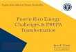 Puerto Rico Energy Challenges & PREPA Transformation · Puerto Rico Electric Power Authority Puerto Rico Energy Challenges & PREPA Transformation ... Transmission . Distribution 