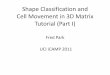 Shape Classification and Cell Movement in 3D Matrix ... Classification and Cell Movement in 3D Matrix ... classification, matching, ... still very active research topic