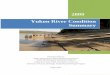 Yukon River Condition Summary - DEC Home€¦ ·  · 2013-05-202009. Yukon River Condition Summary Prepared jointly by: Alaska Department of Environmental Conservation, Alaska Monitoring