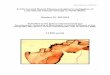 A Chironomid Based Palaeoecological Investigation of …thomasbishop.uk/wp-content/uploads/2017/10/Bishop-2009-A... · A Chironomid Based Palaeoecological Investigation of ... Tim