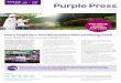 Purple Press - Home - South East Watersoutheastwater.com.au/.../PurplePress/PurplePressNewsletter2018.pdf · Leave the purple recycled ... Purple Press Recycled water newsletter January