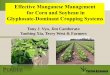 Effective Manganese Management for Corn and Soybean in ... · Effective Manganese Management for Corn and Soybean in Glyphosate-Dominant Cropping Systems . ... Mn powder at V4 1.0