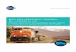 Case Study: GS1 application standard for visibility in rail · New GS1 application standard for visibility in rail Provides roadmap for rail stakeholders to gain ... network. In response,