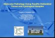 Molecular Pathology Using Paraffin Embedded Tissue …singaporesocietypathology.weebly.com/uploads/3/8/6/7/3867136/prof... · Molecular Pathology Using Paraffin Embedded Tissue and