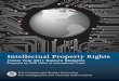 Intellectual Property Rights - Securing America's Borders IPR... · Intellectual Property Rights Fiscal Year 2011 Seizure Statistics Prepared by CBP Office of International Trade