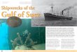 Peter Collings Shipwrecks of the Gulf of Suez - X-Ray Mag · Shipwrecks of the Gulf of Suez . ... infamous Sha’ab Alo where so many ships have foundered ... drilling barge Gemini