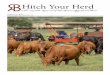 Hitch Your Herd - Amazon Web Serviceslivestockdirect.s3-website-us-west-2.amazonaws.com/catalogs/c90e... · Hitch Your Herd October 11-13, 2016 ... Mom and Dad lead ... You can look