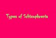 Types of Schizophrenia - JMB-Psychjmb-psych. -+Schizophrenia... · Undifferentiated Schizophrenia 