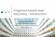 Fragment based lead discovery - introduction · Fragment based lead discovery - introduction György M. Keser ... Optimization metrics