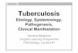 Introduction Tuberculosis - jfmed.uniba.sk · 1882 -M. tuberculosis identificated by Koch 1920 -„sanatorium regimen“, collapse therapy, ... The leading causes of mortality in
