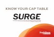SURGE: Know Your Cap Table - fredlaw.com · sample. • Initially ... • Cap Table (summary of authorized and issued shares) ... SURGE: Know Your Cap Table Author: Fredrikson & Byron,