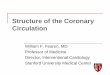 Structure of the Coronary Circulation · Structure of the Coronary Circulation William F. Fearon, MD Professor of Medicine Director, Interventional Cardiology ... remodeling index