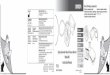 Digital Automatic Blood Pressure Monitor Model M3 ... M3 istruzioni.pdf · Check following components! Vériﬁer les composants suivants ! Prüfen Sie folgende Teile des Lieferumfangs!