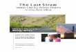 The Last Straw - Clean Air Task Force (CATF) · P The Last Straw: Water Use by Power Plants in the Arid West Power plants are widely recognized as major sources of air pollutants