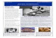 Study Guide BRIGHT STAR THEATRE JACKIE ROBINSON€¦ · Segregation: Segregation is the separation of people based on their race. In Jackie Robinson’s time, segregation was legal