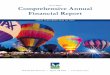 Comprehensive Annual Financial Report - Tigard, OR · Balance Sheet ... Schedule of Bond and Bond Interest ... It is our pleasure to submit to you the Comprehensive Annual Financial