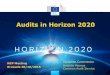 Audits in Horizon 2020 - FFG · Audits in Horizon 2020 NCP Meeting ... • Extension to any other H2020 grant ... Slide 1 Author: turneem Created Date: