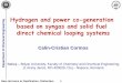 Hydrogen and power co-generation based on syngas and solid .../media/... · Hydrogen and power co-generation based on syngas and solid fuel ... co-processing via gasification and