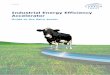 Dairy Sector Industrial Energy Efficiency Accelerator · Background to the Industrial Energy Efficiency Accelerator ... The good practice survey ... investment in energy efficiency