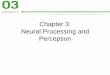 Chapter 3: Neural Processing and Perception - mywebmyweb.scu.edu.tw/~mywang/sen/chapter3.pdf · Chapter 3: Neural Processing and Perception. Neural Processing and Perception •Neural