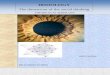 IRIDOLOGY - iridosophia.com · 7 Preface In Iridology, The Dimension of the Social Thinking, Theoretical Iridology, Dr. Lo Rito has, again by his own standards, produced a profound