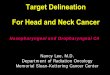 Target Delineation For Head and Neck Cancer - nyp.org · Nasopharyngeal and Oropharyngeal CA. ... CT vs. MRI vs. PET volume. ... All NPC patients . Need MRI unless 