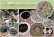 36 Indonesian Mangrove Recipes - Mangrove Action Projectm .36 Indonesian Mangrove Recipes Adapted