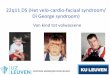22q11 DS (Het velo-cardio-faciaal syndroom/ Di George ...nvavg.nl/wp-content/uploads/2016/03/Swillen-22q11-DS-Het-velo... ·
