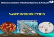 Vietnam Association of Seafood Exporters & Producersintern.aots.jp/upload/files/career_hostorglist/74/20170427_338557.pdf · seafood exports structure of vasep’s members compared