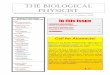 THE BIOLOGICAL PHYSICIST The Newsletter of the Division of Biological Physics of the American Physical Society ... DBP UPDATE: MONTREAL 2004 ... v. F.Rusca 1, CH-6600 Locarno 