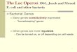 The Lac Operon - MCCCblinderl/documents/Ch17_lacoperonpost.pdf1 The Lac Operon 1961, Jacob and Monod E. coli and other bacteria Bacterial Genes Many genes constitutively expressed
