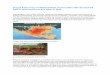 Impact & Recovery of Wetland Plant Communities …cstars.metro.ucdavis.edu/files/3713/9042/0737/WriteUp...Impact & Recovery of Wetland Plant Communities after the Gulf Oil Spill in