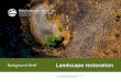 Background Brief Landscape restoration - Global … ·  · 2015-11-302015-11-30 · Background Brief Landscape restoration ... Case study The Tana-Nairobi ... The Fund is a public–private