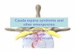 Cauda equina syndrome and other emergencies - Nigel …nigelmendoza.com/lectures_pdf/NEUROSURGICAL_SPINE... · Causes of acute spinal cord and cauda equina ... • 75% have neurological