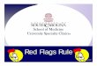 Red Flags Rule - University of South Flags Rule Training PPT   Flags Rule Agenda: – What