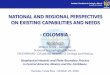 NATIONAL AND REGIONAL PERSPECTIVES ON ... Colombiano de Geología y Minería República de Colombia NATIONAL AND REGIONAL PERSPECTIVES ON EXISTING CAPABILITIES AND NEEDS - COLOMBIA